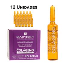 Ampolla de colageno Maxybelt 10ml