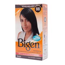 Tinte en polvo negro azulado #88 Bigen