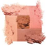 PM02-Desert-Rose -1-