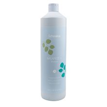 Shampoo Balance Sebum Control 1000ml - ECHOS LINE