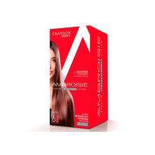 Keratina Kit 4 Pasos para Cabellos Naturales 250ml - AMBROISIE